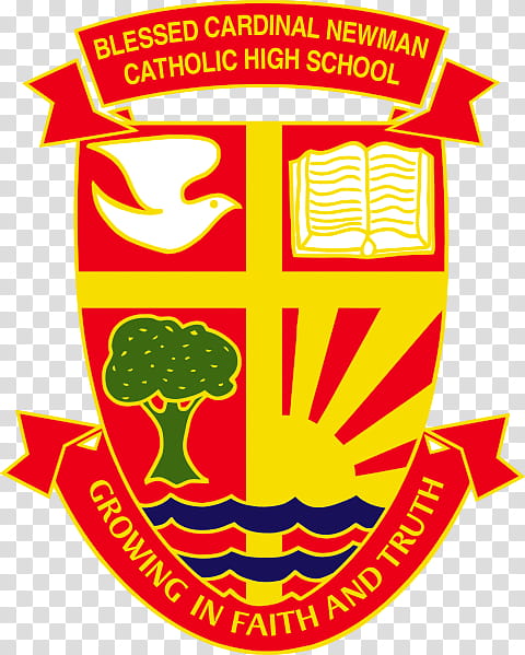 School Board, Blessed Cardinal Newman Catholic High School, Toronto Catholic District School Board, School
, Education
, Catholic School, Educational Institution, Learning transparent background PNG clipart