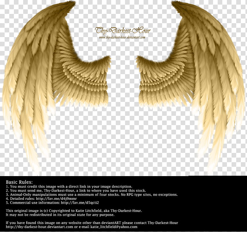 Winged Fantasy Golden, wings transparent background PNG clipart