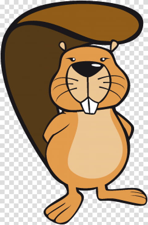 Beaver, Computer Science, Gymnasium, School
, Eurasian Beaver, Student Competition, Pupil, Information Technology transparent background PNG clipart