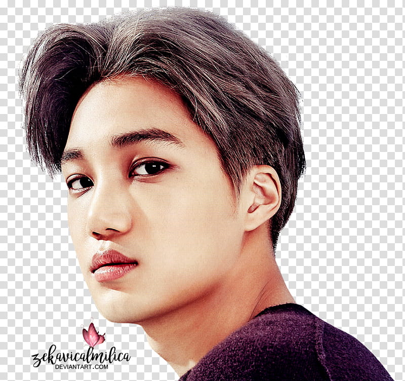 EXO Kai  Season Greetings, man in black top transparent background PNG clipart