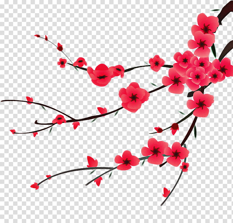 Cherry Blossom, Peach, Flower, Petal, Cherries, Hinamatsuri, Drawing, Red transparent background PNG clipart