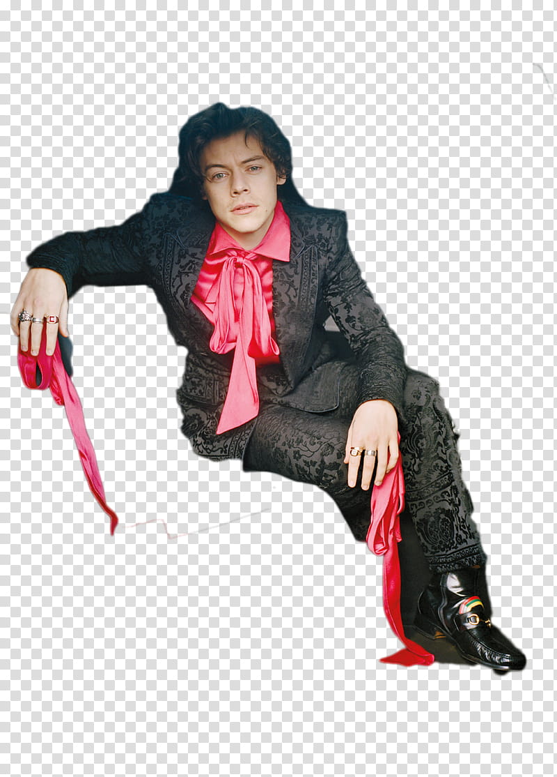 Harry Styles DulceEditions transparent background PNG clipart