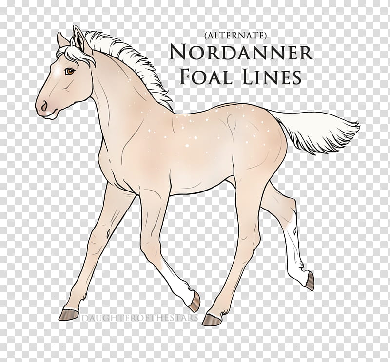 Horse, Mustang, Foal, Colt, Stallion, Mare, Haflinger, American Quarter Horse transparent background PNG clipart