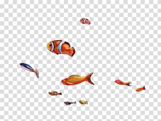 Fish s, clown fish and gold fish transparent background PNG clipart