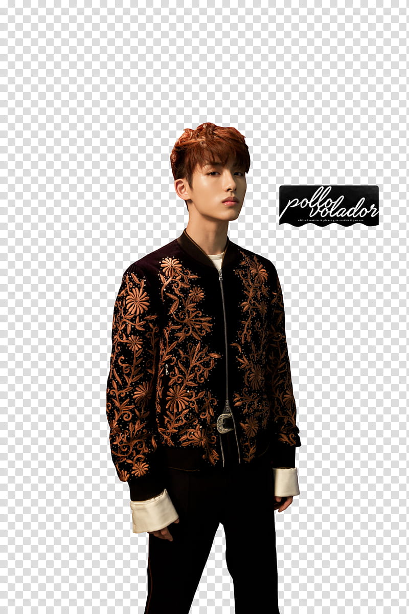 Winwin NCT WayV Regular, untitled transparent background PNG clipart