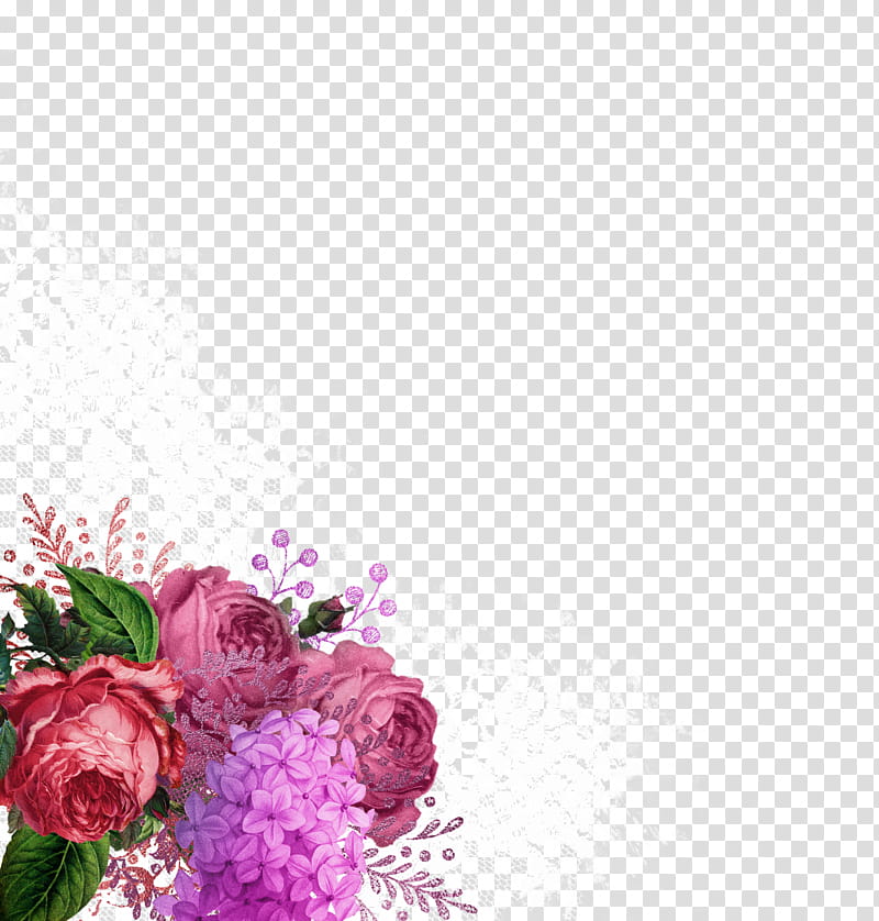 Shab, pink and purple roses and hydrangeas illustration transparent background PNG clipart