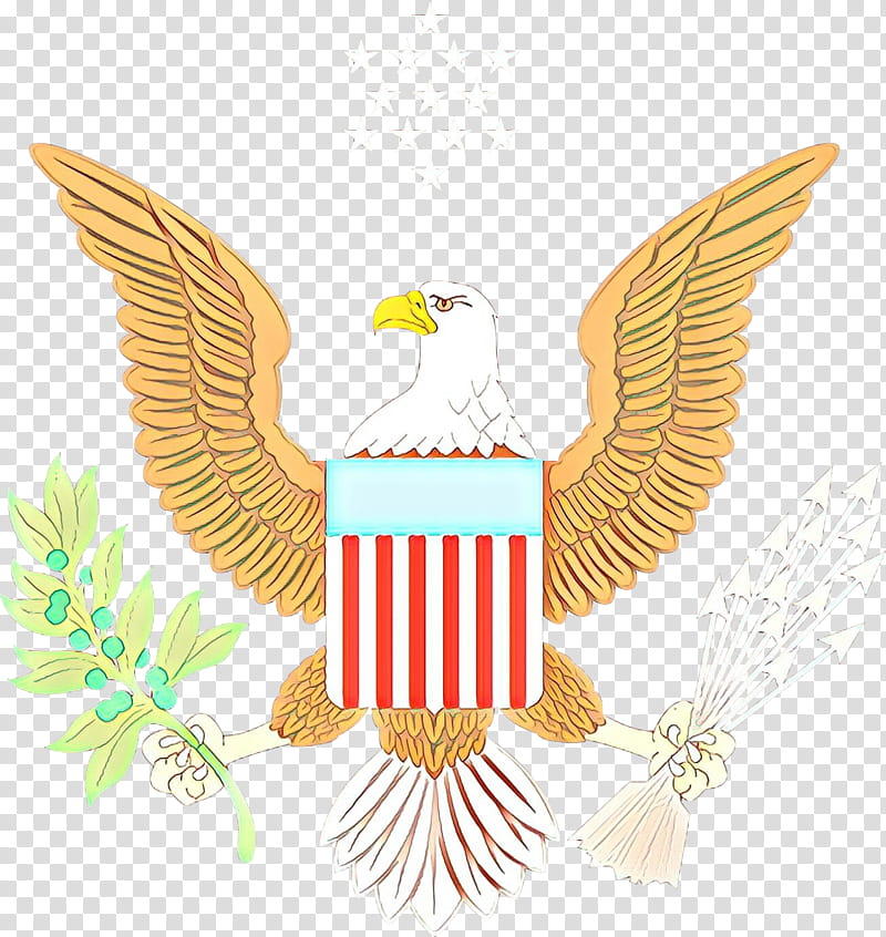 Eagle Logo, Bald Eagle, Drawing, Bird, Watercolor Painting, Beak, Emblem, Symbol transparent background PNG clipart