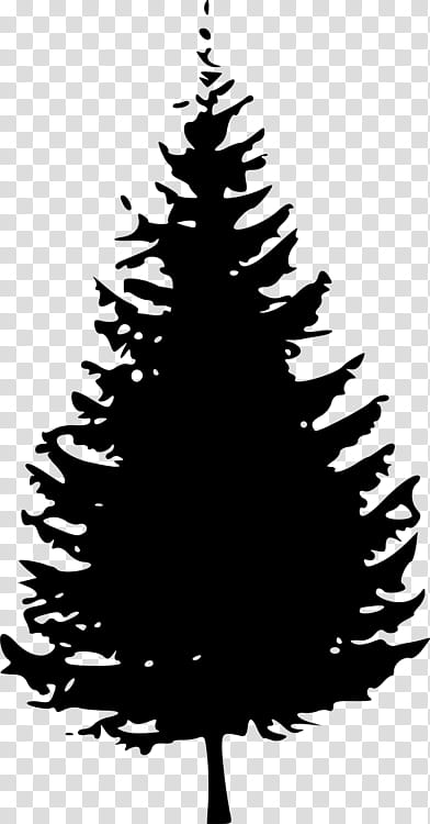 Christmas Black And White, Tree, Fir, Evergreen, Silhouette, Spruce, Conifers, Cedar transparent background PNG clipart