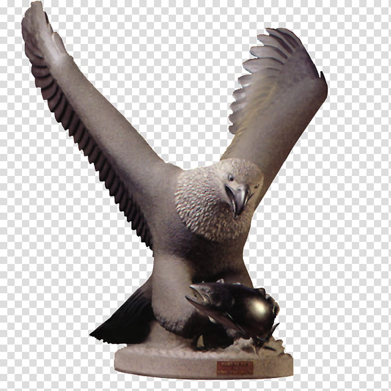 Eagle Bird, Sculpture, Relief, Statue, Wood Carving, Stone Carving, 3D Computer Graphics, Beak transparent background PNG clipart