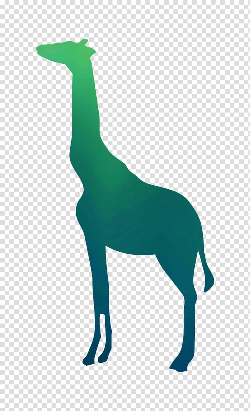 Llama, Giraffe, Wall Decal, Advertising, Silhouette, Poster, Shower Curtains, Painting transparent background PNG clipart