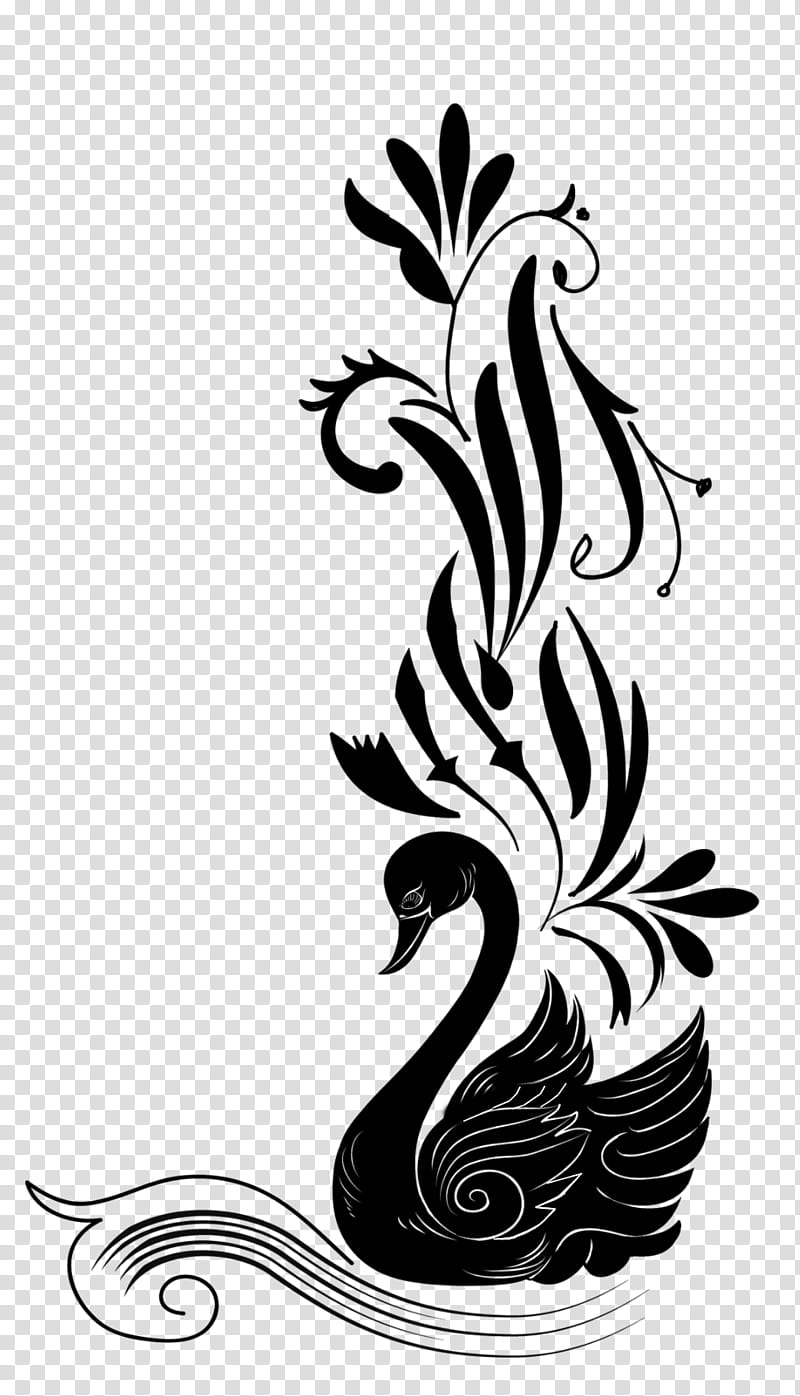 black swan drawing transparent background PNG clipart