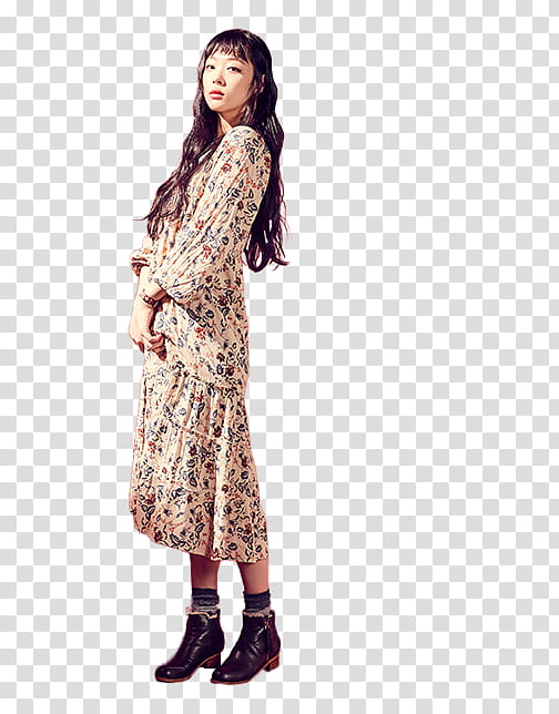 Sulli P transparent background PNG clipart