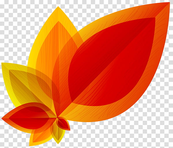 Watercolor Flower, Autumn, Maple Leaf, Canvas, Paper, Watercolor Painting, Fototapet, Canvas Print transparent background PNG clipart