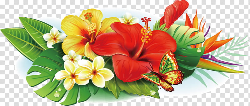 Bouquet Of Flowers Drawing, Tropical Flowers, Frangipani, Floristry, Hawaiian Hibiscus, Plant, Petal, Anthurium transparent background PNG clipart