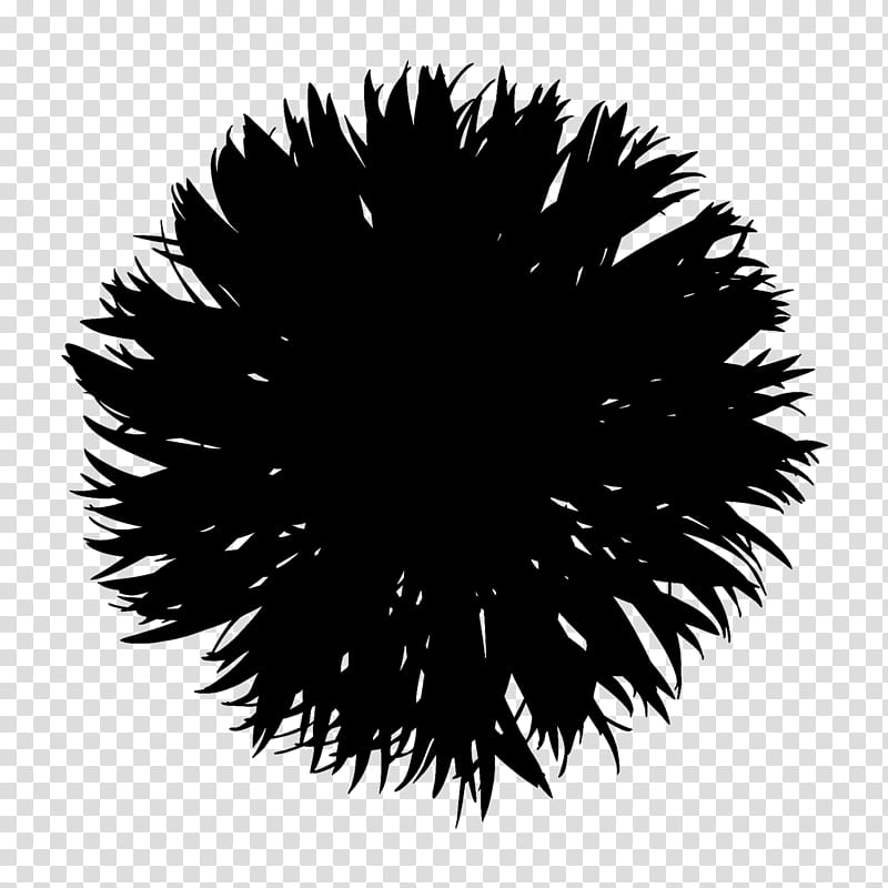 Black Tree, Computer, Black M, Sea Urchin, Line, Plant, Blackandwhite transparent background PNG clipart