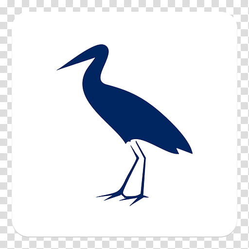 Crane Bird, White Stork, Water Bird, Beak, Pelecaniformes, Seabird, Universidad De La Sabana, Microsoft Azure transparent background PNG clipart