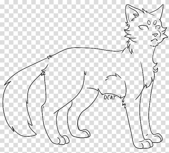 female warrior cat lineart