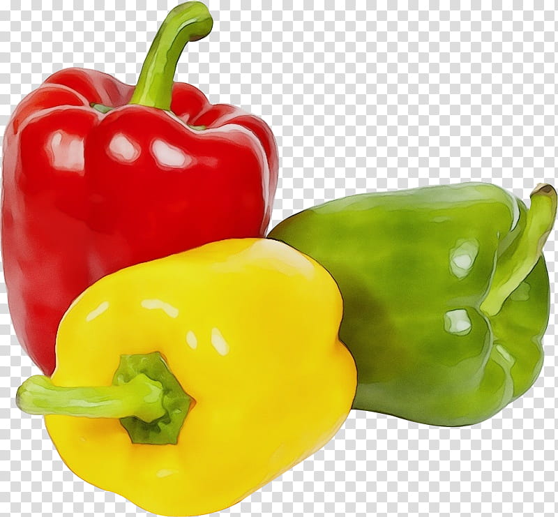 pimiento bell pepper natural foods red bell pepper bell peppers and chili peppers, Watercolor, Paint, Wet Ink, Green Bell Pepper, Capsicum, Yellow Pepper, Vegetable transparent background PNG clipart