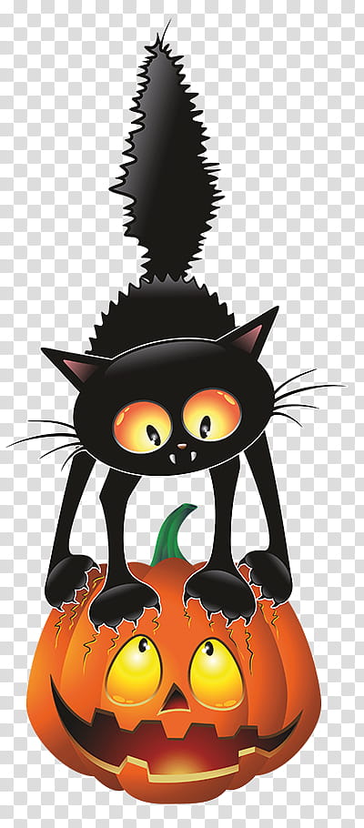Halloween Cat Drawing, Cartoon, Black Cat, Halloween , Humour, Witch, Ghost, Pumpkin transparent background PNG clipart