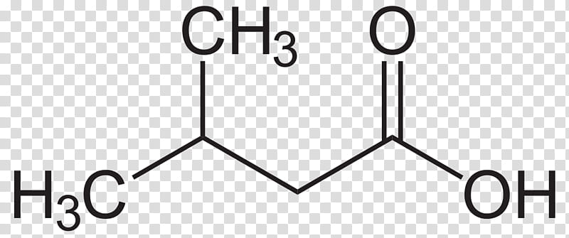 Acetoacetic Acid Text, Structural Formula, Glycine, Butyric Acid, Alphaketobutyric Acid, Chemical Formula, 3methylbutanoic Acid, Structure transparent background PNG clipart