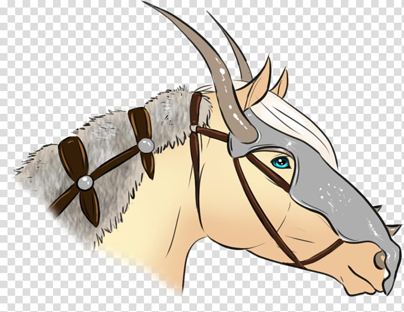 Horse, Reindeer, Cattle, Horn, Runes, Elder Futhark, Live, Head transparent background PNG clipart