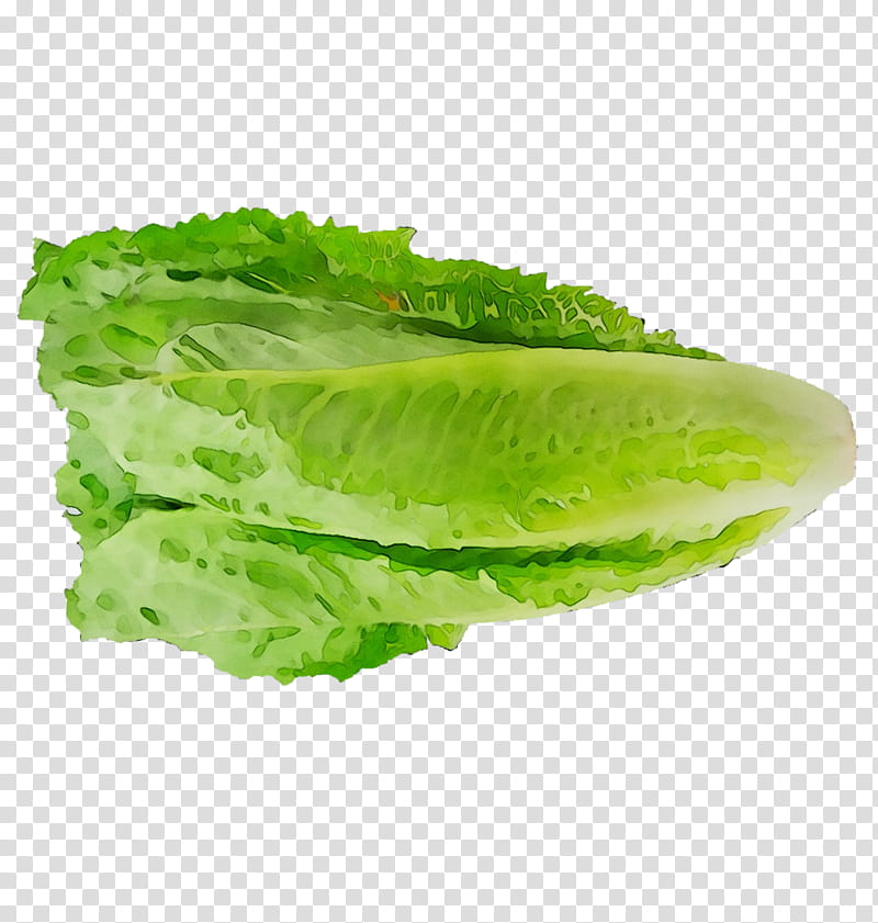 Vegetables, Romaine Lettuce, Collard Greens, Spring Greens, Spring
, Leaf Vegetable, Iceburg Lettuce, Celtuce transparent background PNG clipart