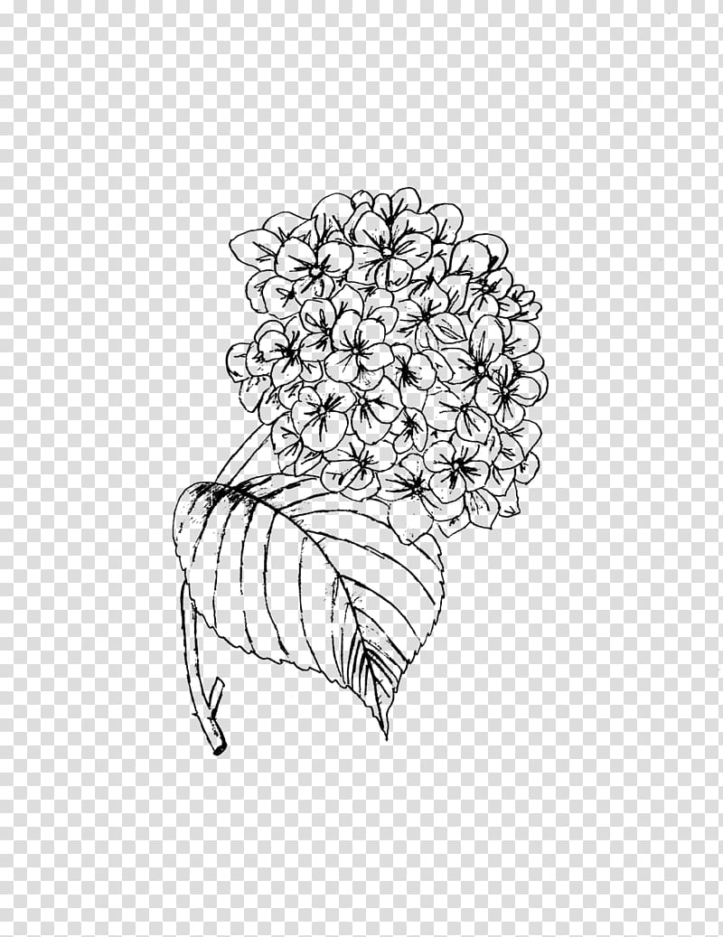 Flower Line Art, Drawing, Floral Design, Visual Arts, Silhouette, Orizuru, Bride, Leaf transparent background PNG clipart
