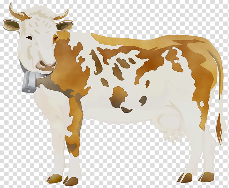 Cow, Holstein Friesian Cattle, Angus Cattle, Dairy Cattle, Live, Beef Cattle, Cattle Feeding, Bovine transparent background PNG clipart