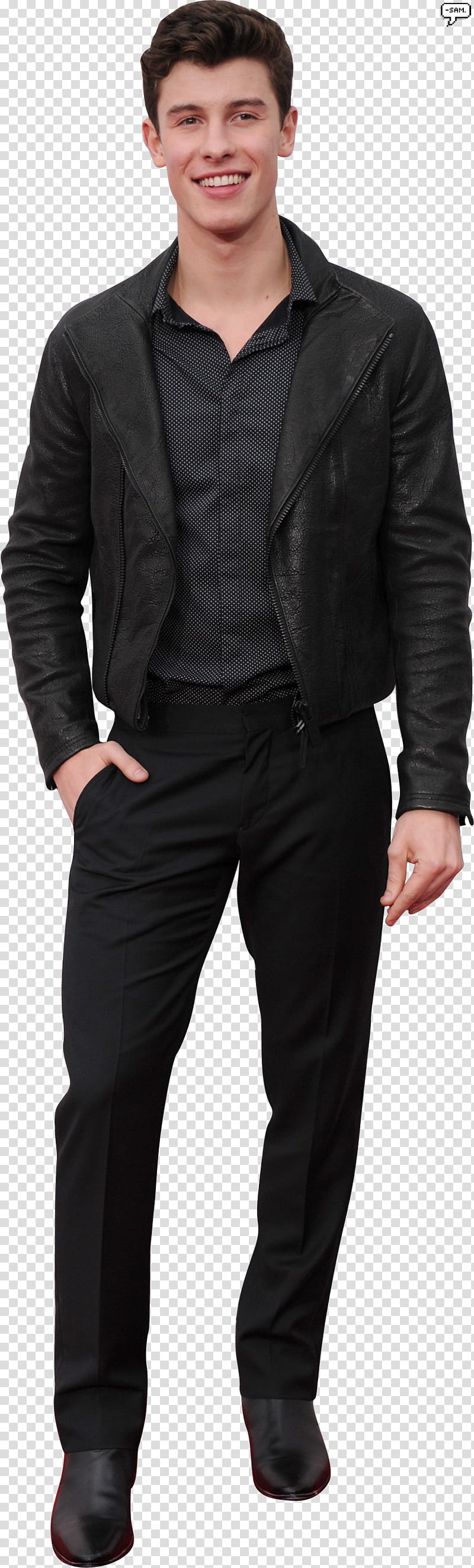 Shawn Mendes,,SAM () transparent background PNG clipart