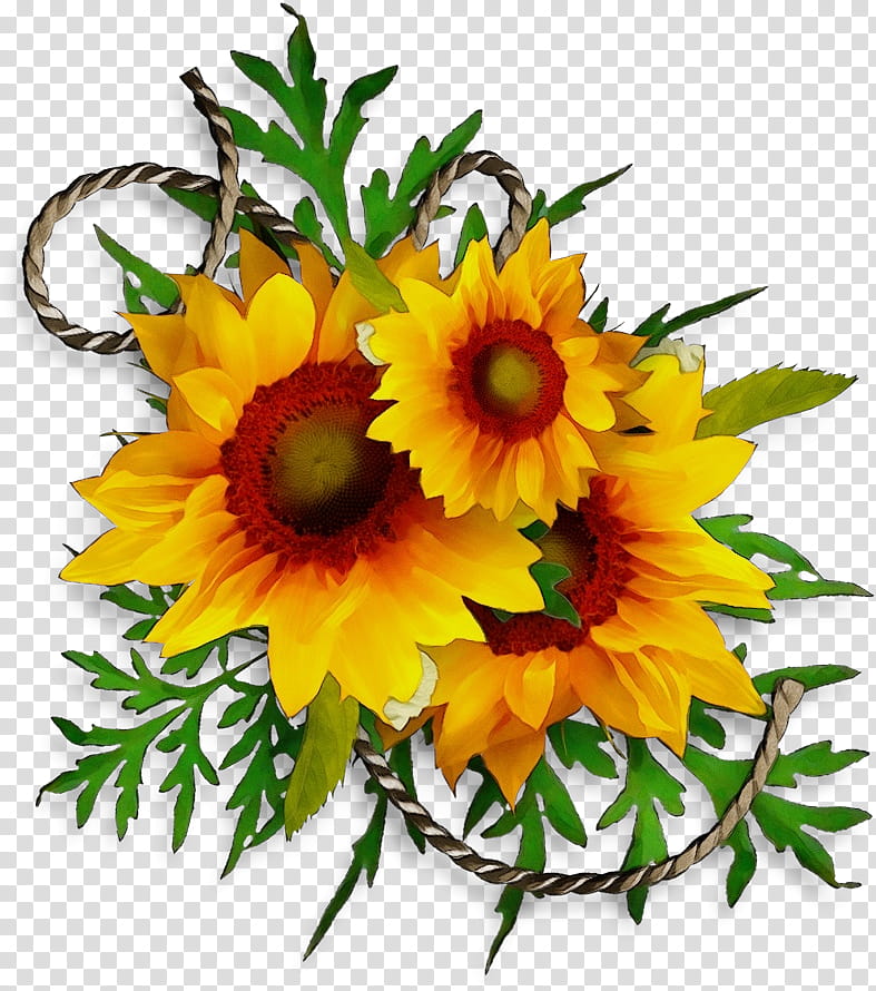 Bouquet Of Flowers Drawing, Watercolor, Paint, Wet Ink, Common Sunflower, Sunflower Seed, Floral Design, Vase With Three Sunflowers transparent background PNG clipart