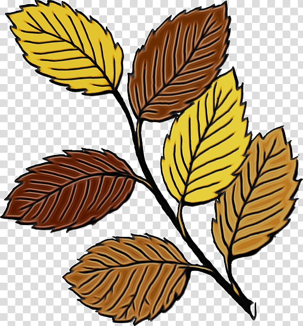 Autumn Leaf Drawing, Autumn Leaf Color, Speech Balloon, Sweet Birch, Slippery Elm, Plant, Grey Alder, Tree transparent background PNG clipart