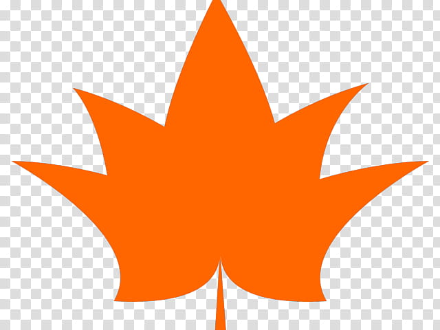 Autumn Design, Maple Leaf, Flat Design, Autumn Leaf Color, Orange, Tree, Woody Plant, Logo transparent background PNG clipart