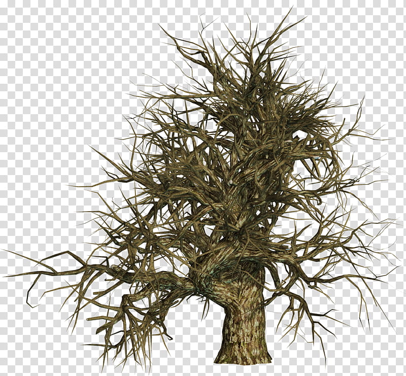 Dead Trees , green leafed tree transparent background PNG clipart