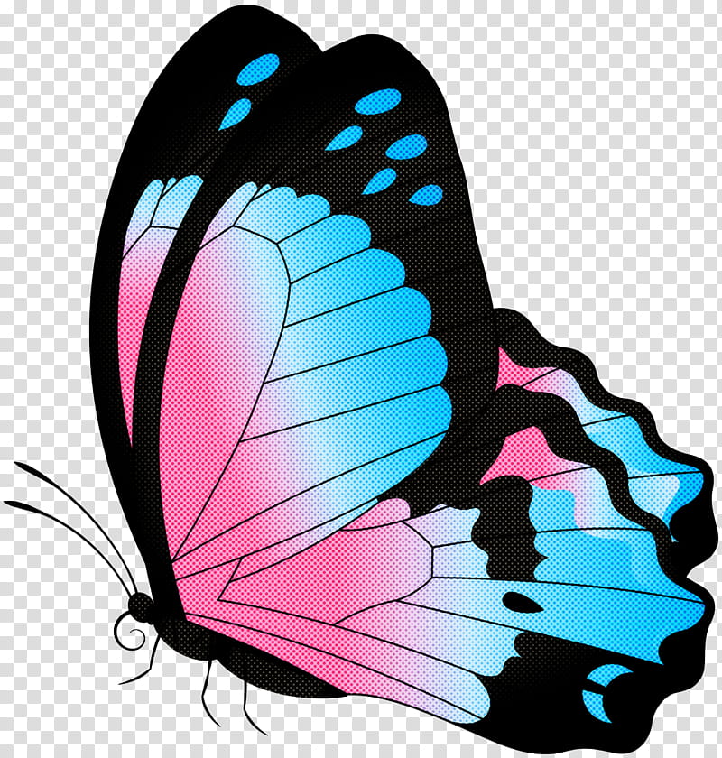 butterfly moths and butterflies insect pink turquoise, Pollinator, Wing, Brushfooted Butterfly transparent background PNG clipart