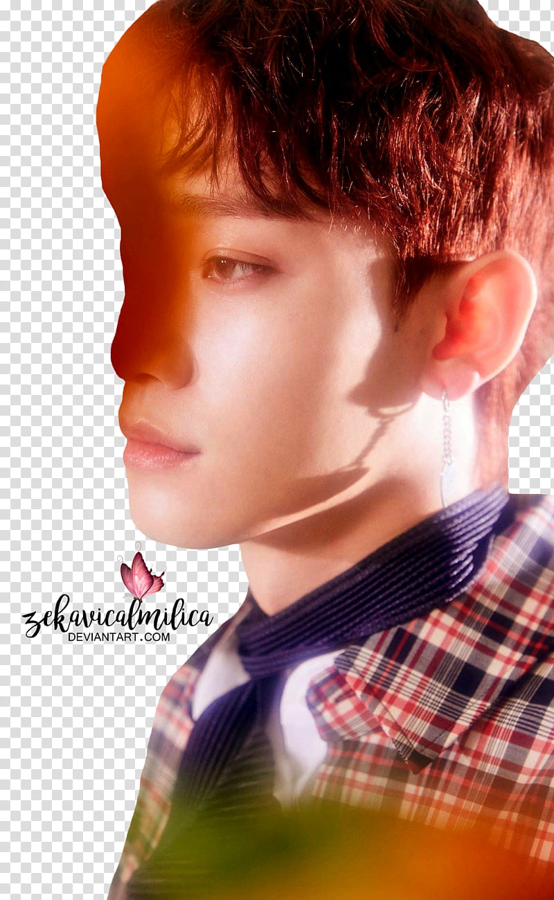EXO CBX Chen Blooming Days, BTS member transparent background PNG clipart