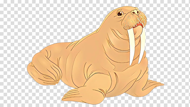 seal walrus california sea lion animal figure earless seal, Fur Seal transparent background PNG clipart