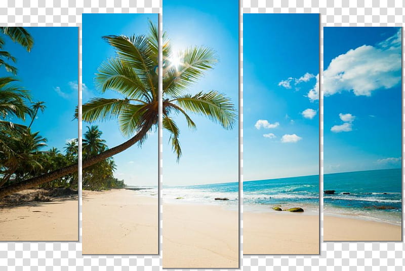 Travel Summer Beach, Unawatuna, Unawatuna Beach, Hotel, Walkers Tours, Seaside Resort, Coast, Tourism transparent background PNG clipart