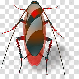 Insects, cockroach  icon transparent background PNG clipart