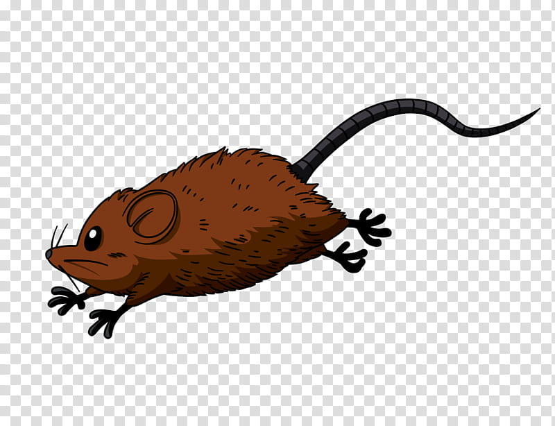 New Renders  Characters, brown and black mouse running illustration transparent background PNG clipart