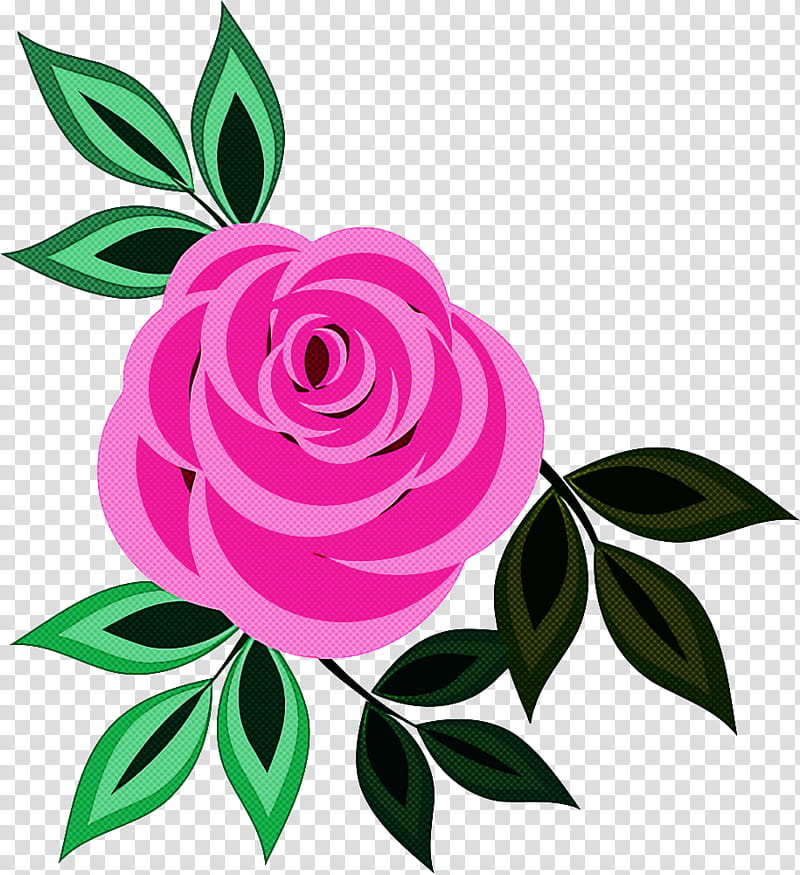 Garden roses, Flower, Pink, Petal, Plant, Rose Family, Leaf, Violet transparent background PNG clipart