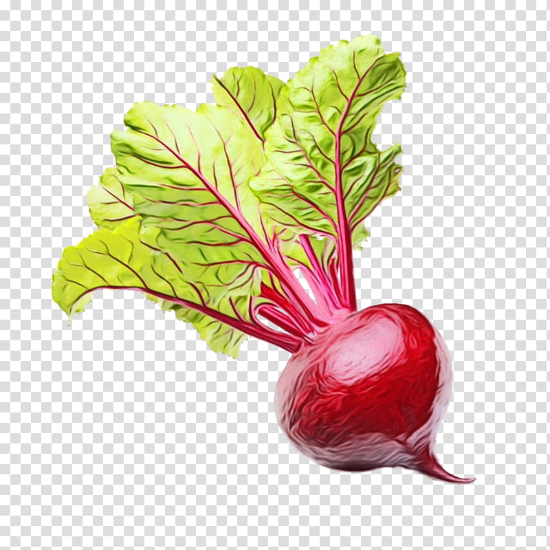 Plant Leaf, Chard, Beetroots, Boron, Food, Sugar Beet, Turnip, Enzyme transparent background PNG clipart