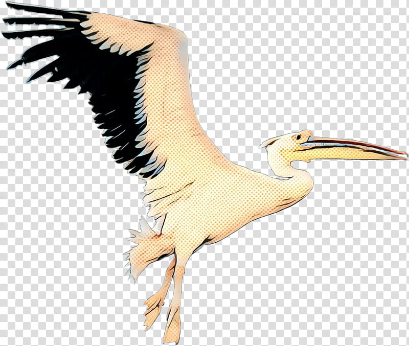 Crane Bird, Pop Art, Retro, Vintage, White Stork, Gulls, Heron, Beak transparent background PNG clipart