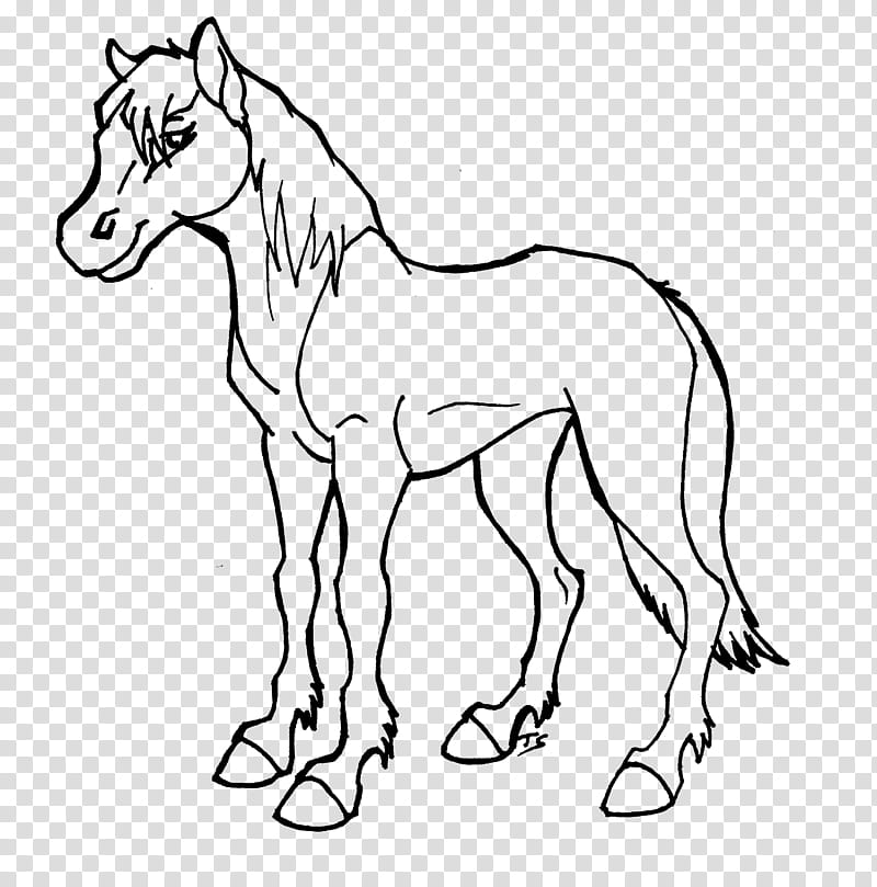 Big Ol O Lineart , horse portrait sketch transparent background PNG clipart