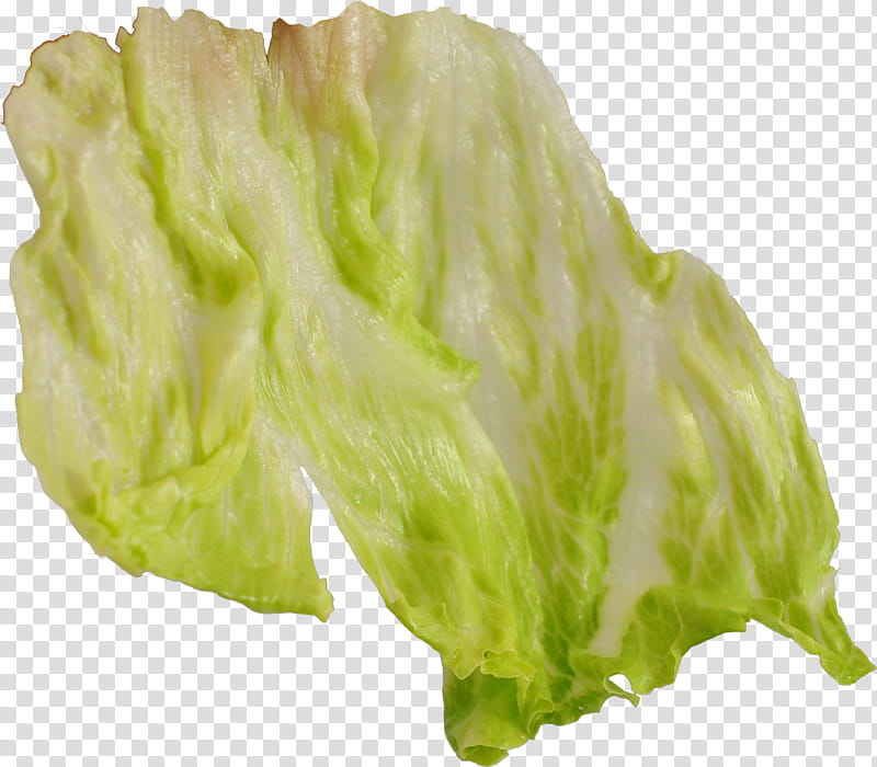 Sandwich Material, fresh vegetable transparent background PNG clipart