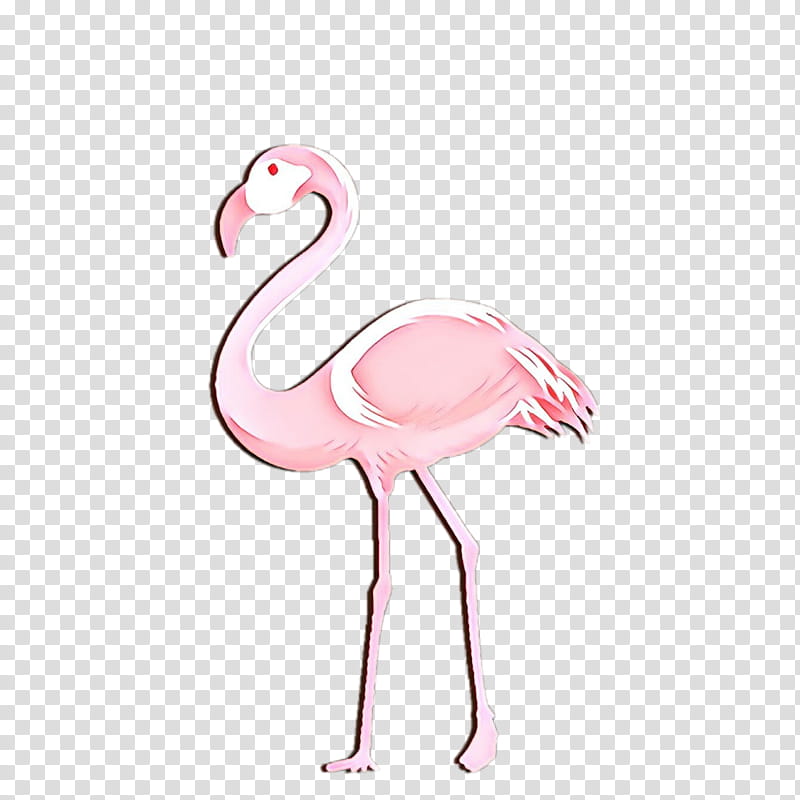 Flamingo, Bird, Greater Flamingo, Pink, Water Bird, Beak, Neck, Cranelike Bird transparent background PNG clipart