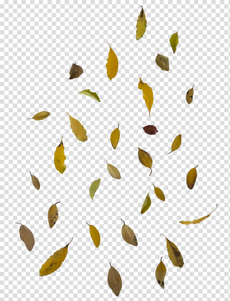 Falling leaf overlay  free to use, green leaves transparent background PNG clipart