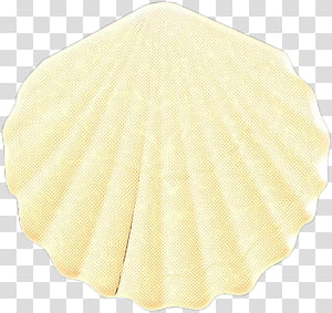 white yellow coffee filter food bivalve, Pop Art, Retro, Vintage, Clam, Beige, Scallop, Cuisine transparent background PNG clipart thumbnail