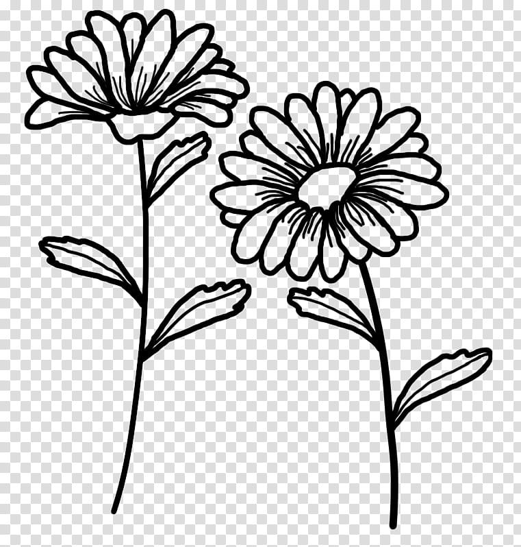 two black flowers transparent background PNG clipart