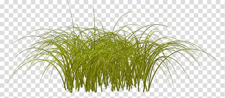 Various Garden Items , green grass transparent background PNG clipart