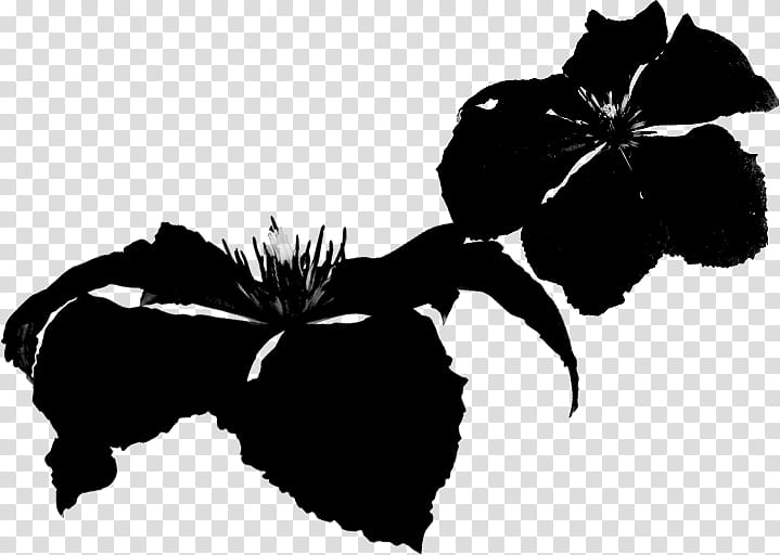 Brushset  abstract flowers, black flowers illustration transparent background PNG clipart